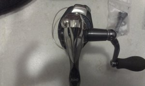 IMAG0831.jpg