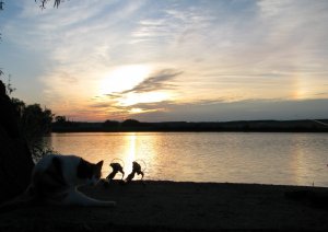 IMG_9619.JPG