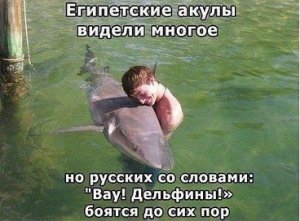 getImage (3).jpg