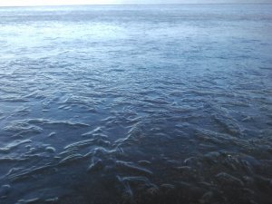 IMG_20131119_100308.jpg