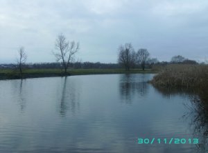 PICT0110.JPG