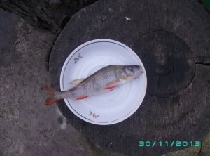 PICT0113.JPG