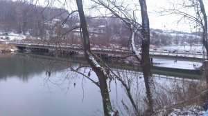 IMAG0317.jpg