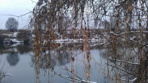 IMAG0320.jpg