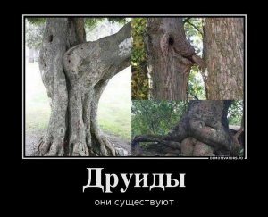 1384853671_013.jpg
