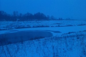 IMAG0299.jpg