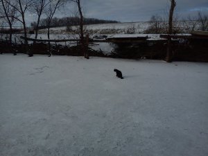 DSC00308.jpg