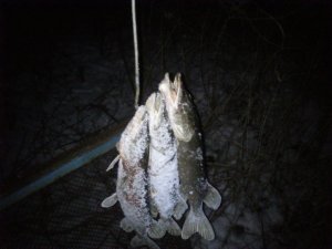 DSC_0164.jpg