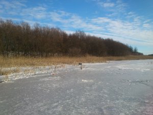 DSC_0166.jpg