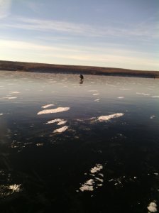 IMG_20131215_091418.jpg