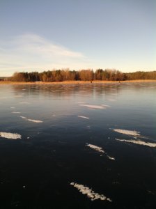 IMG_20131215_091427.jpg