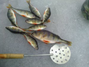 IMG_20131218_140408[1].jpg