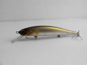 IMG_20131126_092550.jpg