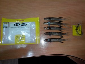 IMG_20131122_092731.jpg