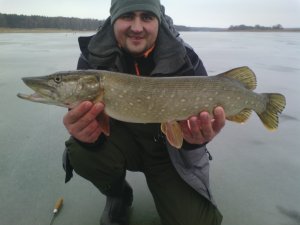 IMG_20131219_121159.jpg