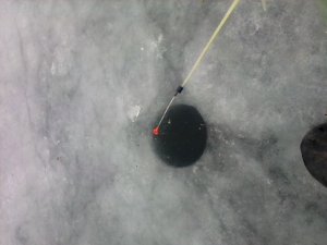PANO_20131220_113518183.jpg