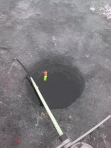 IMG_20131221_083008.jpg