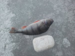 IMG_20131221_151728.jpg