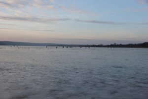 IMG_9080.JPG