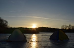 DSC_1334.jpg