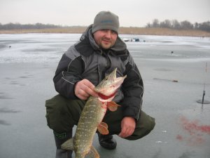 IMG_5794.JPG