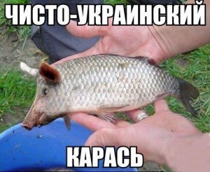 RWRUuqNWGlo.jpg