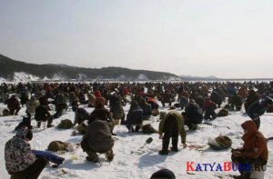 rybalka_pricoly_foto_25.jpg