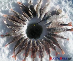 rybalka_pricoly_foto_20.jpg