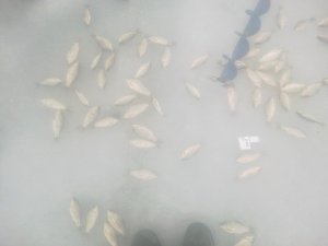26122013723.jpg