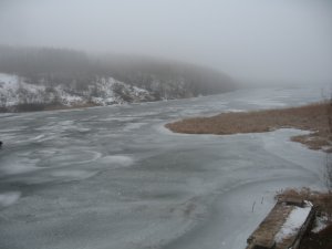 IMG_5830.JPG