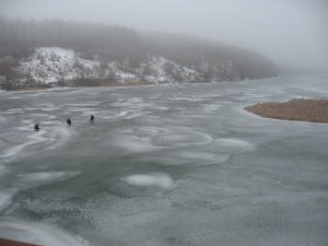 IMG_5831.JPG