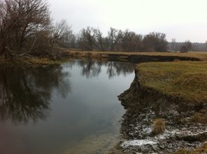 IMG_0345.JPG
