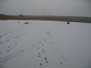 IMG_5913.JPG