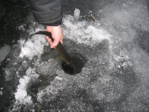 IMG_5908.JPG