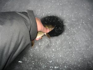 IMG_5900.JPG