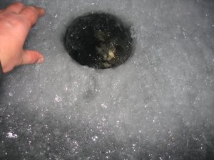 IMG_5901.JPG