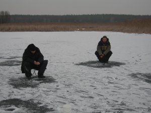 IMG_5933.JPG