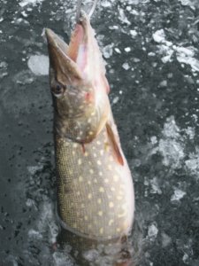 IMG_5957.JPG