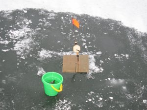 IMG_5971.JPG