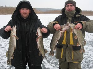 IMG_5977.JPG