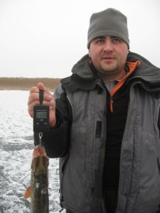 IMG_5979.JPG