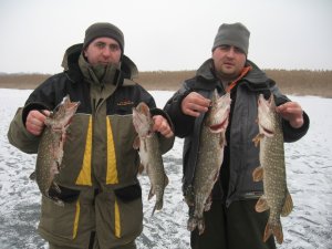 IMG_5985.JPG