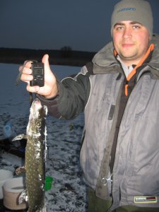 IMG_5931.JPG
