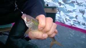 WP_20140104_015.jpg