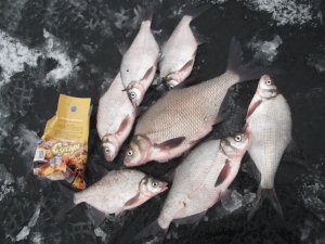 DSCF9618.JPG