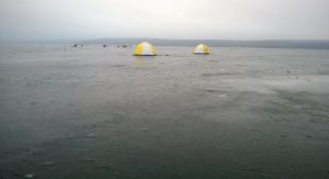WP_20140108_007.jpg