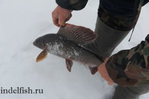 Рыбалка  на хариуса.jpg