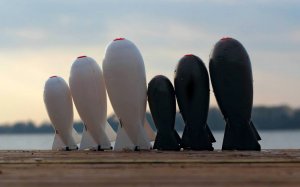 midi-spomb.jpg51fb86f13865d.jpg