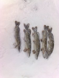 180120143863.jpg