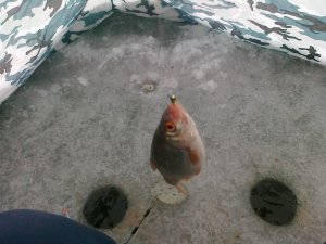 23012014294.jpg